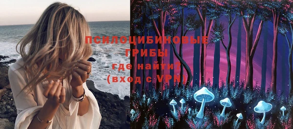 2c-b Алзамай