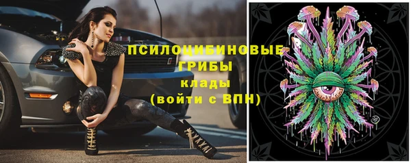 прущий лед Абаза