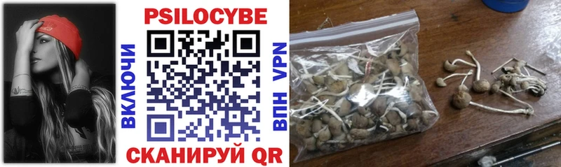 Галлюциногенные грибы мухоморы  Пудож 