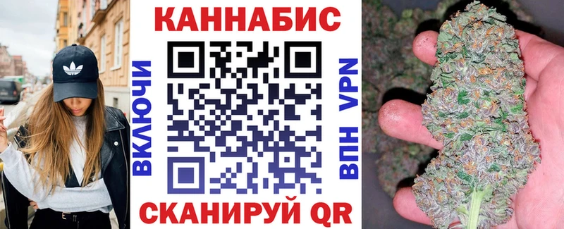 цена наркотик  Пудож  Конопля гибрид 