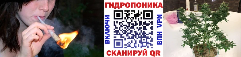 Канабис планчик Пудож